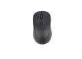 TE0681 Mouse Jerry (MP) - Pro-Ponemos