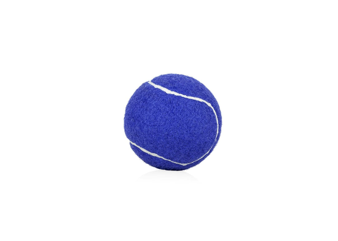HO0403 Pelota para mascotas Marley (MP) - Pro-Ponemos