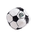 FUCHI COPA (BS) - Pro-Ponemos
