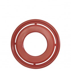 frisby-profesional (2)